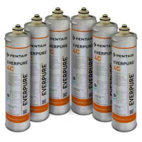 Scatola 6 Filtri Everpure 4C - EV9601-00