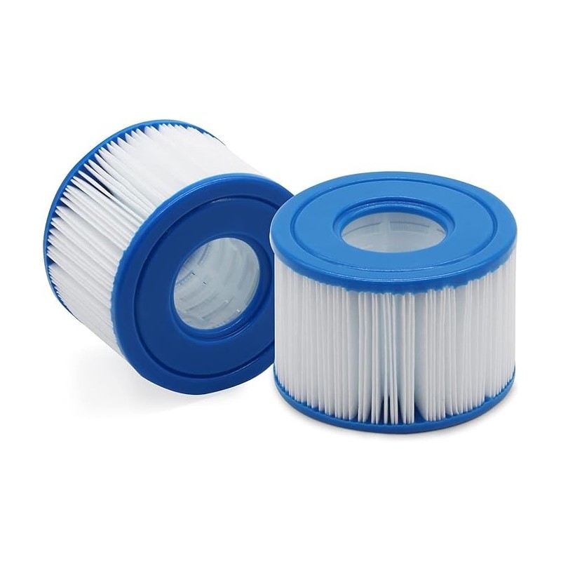 Filtro Swan piscina compatibile Bestway Type VI - 2 Pezzi