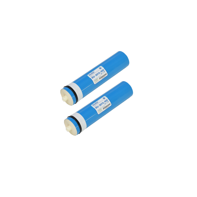Scatola da 2 pezzi membrana SWAN 3013 - 400GPD