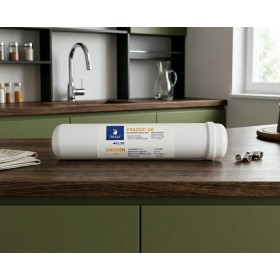 Filtro in linea Swan 12" carbone + Ag